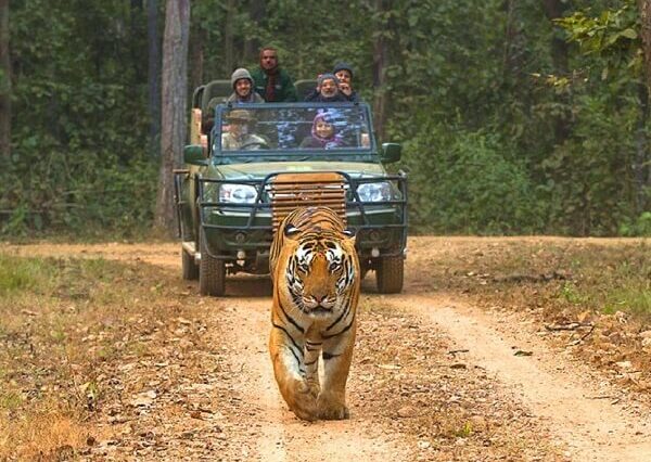 ranthambore